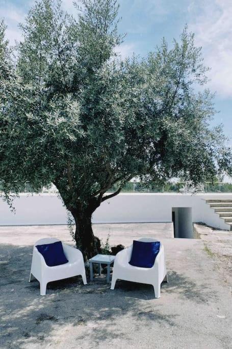 Casa Da Oliveira Villa Nelas Bagian luar foto