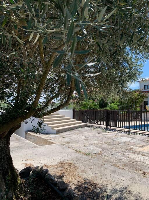 Casa Da Oliveira Villa Nelas Bagian luar foto